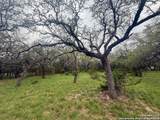 23407 Osceola Bluff - Photo 3