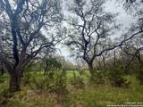 23407 Osceola Bluff - Photo 7