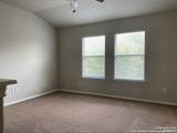 25626 Sago Palm - Photo 5