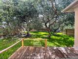 25626 Sago Palm - Photo 7