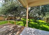 25626 Sago Palm - Photo 8