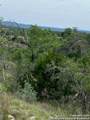 TRACT 98 Winans Creek Ranch - Photo 13
