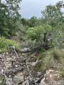 TRACT 98 Winans Creek Ranch - Photo 9