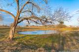 7150 Linne - Photo 29