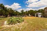 239 Rosinweed - Photo 37