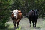 287 County Rd 2722 - Photo 8