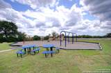32231 Escarole Bend - Photo 43