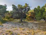 TBD Whartons Dock Road - Photo 9