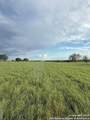 12885 La Vernia Rd - Photo 21
