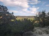 443 Moseley - Photo 47