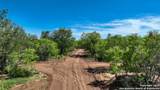 13704 Ladd Rd - Photo 13