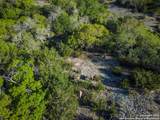 000 Blackbuck Trail - Photo 3