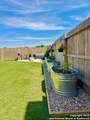 113 Brasher Cove - Photo 14