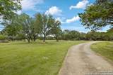 450 Georg Oaks - Photo 5