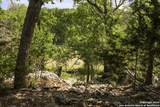 1030 Jurassic Lane - Photo 6
