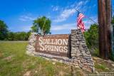 1865 Stallion Springs - Photo 3