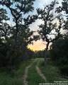 1 Bergwald - Photo 2