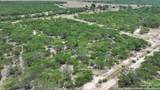 2 County Road 414 - Photo 6