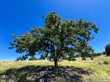 LOT 2 Loma Vista Ranch - Photo 15