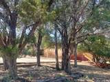 206 Sir Winston Dr - Photo 33