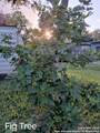 714 Blakeley - Photo 30