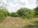TRACT 2 County Rd 207 - Photo 3