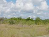 TRACT 6 County Rd 208 - Photo 5