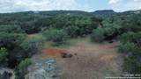245 Sydney Springs - Photo 24