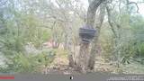 LOT 8 Orion Way - Photo 19