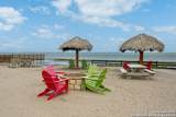 101 Caribbean - Photo 13