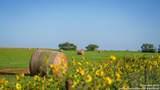 2387 Fm 537 - Photo 45
