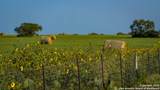 2387 Fm 537 - Photo 46