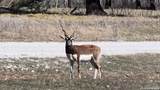 LOT 57 Falling Oak Drive - Photo 25