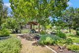 131 Larchmont - Photo 24