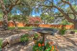 26214 Tawny Way - Photo 50
