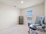 418 Forsythia - Photo 15