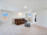 418 Forsythia - Photo 18