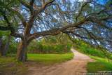 103 Misty Waters - Photo 10