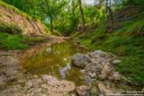 103 Misty Waters - Photo 12