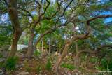 103 Misty Waters - Photo 19