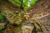 103 Misty Waters - Photo 55