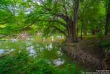 103 Misty Waters - Photo 60