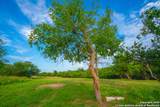 103 Misty Waters - Photo 63