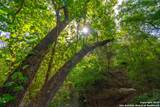 103 Misty Waters - Photo 67