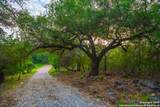 103 Misty Waters - Photo 70