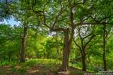 103 Misty Waters - Photo 85