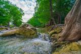 103 Misty Waters - Photo 9