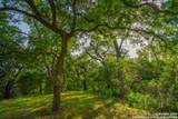 103 Misty Waters - Photo 98