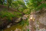 103 Misty Waters - Photo 99