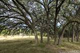10406 Park Road 37 - Photo 34